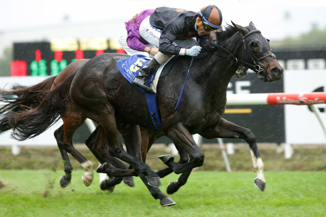 Our Abbadean pictured winning the G2 Travis Stakes