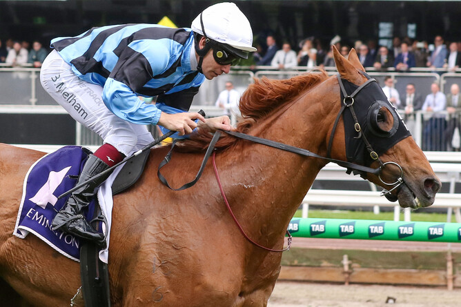 Smokin’ Romans broke a two year drought with a win in Saturday’s A$300,000 Gr.3 Queen Elizabeth Stakes (2600m) at Flemington.  - Photo: Bruno Cannatelli
