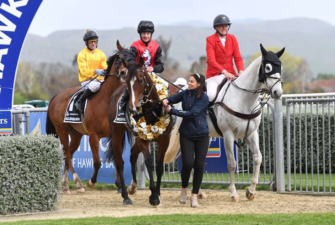 Mustang Valley claims her second Group One victory in Saturday's Gr.1 Arrowfield Stud Plate (1600m). - Photo: Peter Rubery (Race Images Palmerston North)