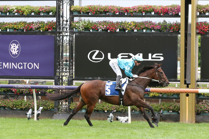 Jamie Kah eases Annivisto to the line as she takes out the Gr.3 Frances Tressady Stakes (1400m) at Flemington - Photo: Bruno Cannatelli