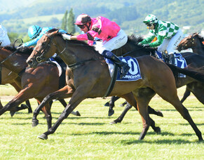Galloping Gerte wins her second NZB Insurance Pearl Bonus Race for owners Bill and Noelene Bishop