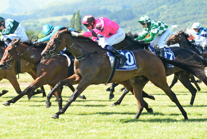 Galloping Gerte winning the NZB Insurance Pearl Bonus Race at Matamata 13-12-16. Photo Race Images