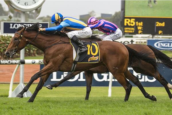 Imposing Lass winning the Schweppes (Bm78)  - Photo - Racing and Sports