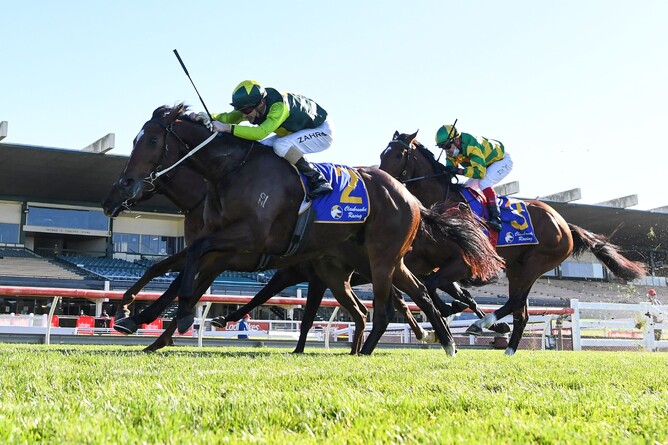 Jungle Magnate winning at Sandown on Wednesday. Photo: Pat Scala (Racing Photos)