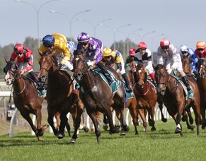 NZB Insurance Pearl Series Offers Exciting New Bonus