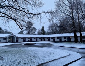 Alice Wilkinson - Irish National Stud Blog 3