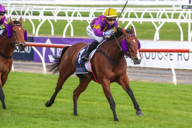 Live Drama is the headline lot in the next gavelhouse.com auction - Photo: Race Images