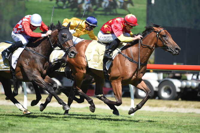 Madison County (Pins - Red Delicious by No Excuse Needed) winning the G1 Levin Classic at Trentham - photo Grant Matthew Race Images