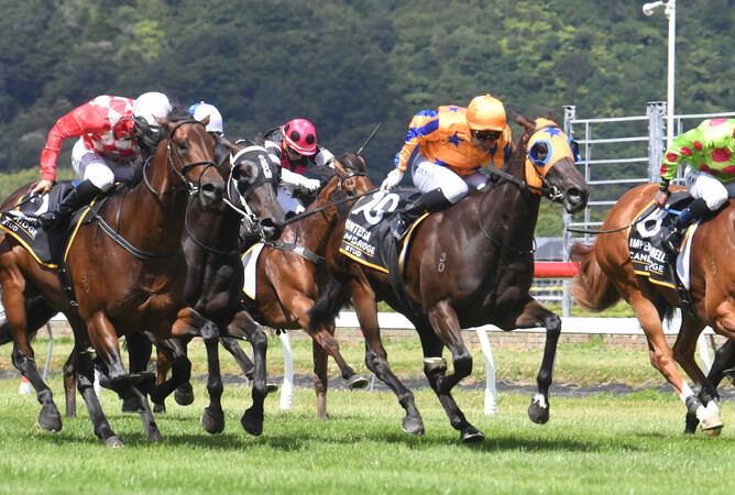 Opie Bosson guides Te Akau filly Quintessa to a deserved Gr.1 Cambridge Stud Levin Classic (1600m) victory. - Photo: Peter Rubery (Race Images Palmerston North)