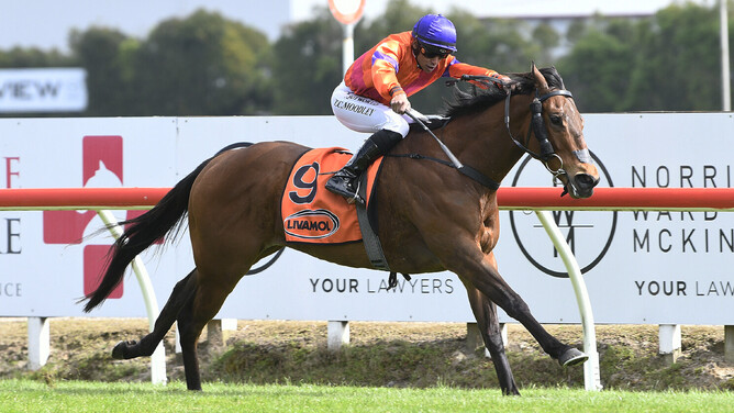 Spencer winning the Gr.3 Valley D’Vine Restaurant Spring Sprint (1400m) at Te Rapa on Saturday.  - Photo: Kenton Wright, Race Images