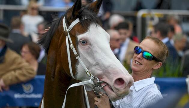 Miss Vista after winning the Bert Bryant Handicap (Image: Racing Photos)