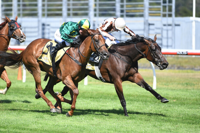 Levante (inner) gets in the deciding stride to defeat Roch ‘N’ Horse in the Gr.1 JR & N Berkett Telegraph (1200m) at Trentham Photo Credit: Race Images – Peter Rubery