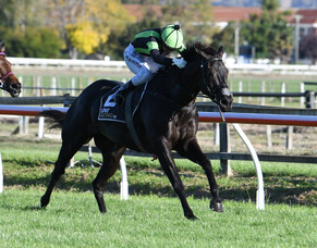 Breeding book brings big reward