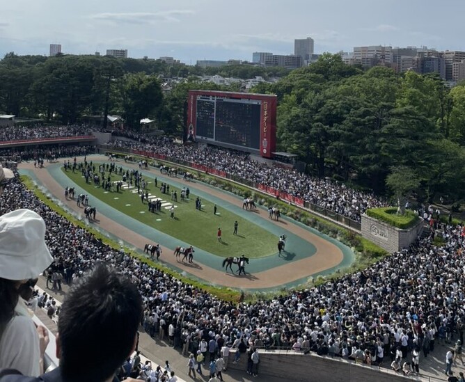 A few people look on at the parade ring!