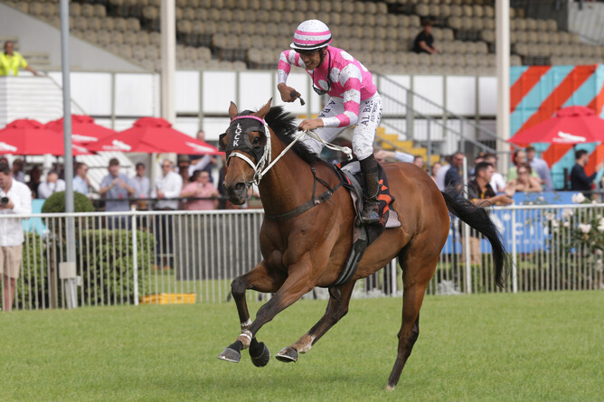 Kozzi Asano celebrates his victory in the Gr.3 SKYCITY Hamilton Waikato Cup (2400m) aboard Viktor Vegas - Photo: Trish Dunell