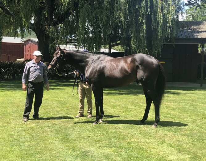 Australian owner Francis Cook with Preferment at Brighthill Farm. Photo: Supplied