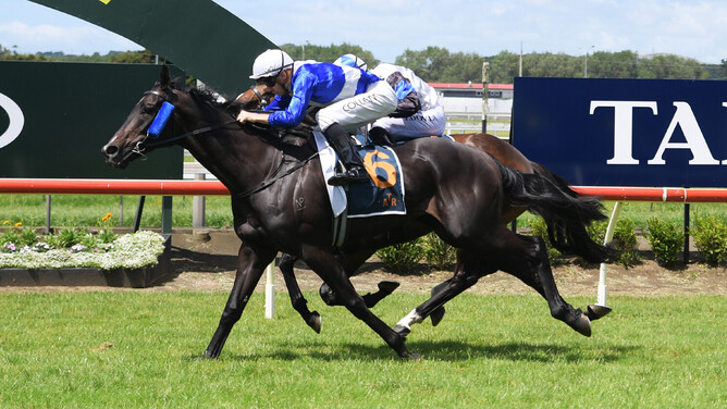 Trust In You winning the Gr.3 Queen Elizabeth II Cup (2400m) at Pukekohe on New Year’s Day. - Photo: Kenton Wright (Race Images)