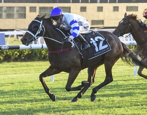 Wentwood Grange on a winning roll