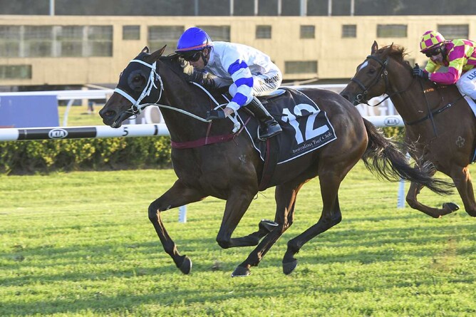 Queensland Oaks hopeful Savigne - NZ Racing Desk