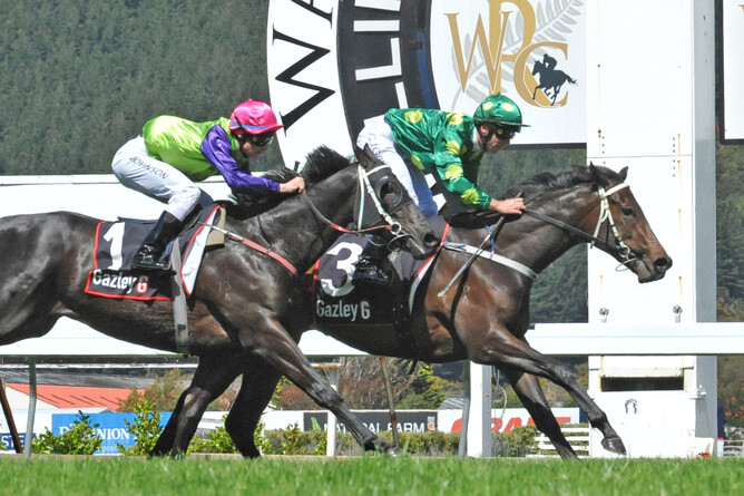 Gift Of Power wins the Wellesley Stakes  22-10-16.  Photo courtesy of Race Images