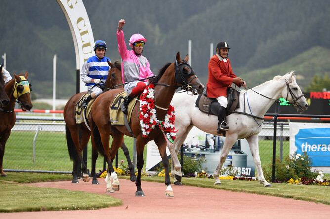 Wyndspelle - Gr.1 Rydges Wellington Captain Cook Stakes 1600m - Photo:  Supplied