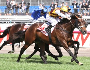 Zabeel&rsquo;s son to take up residence at Brighthill