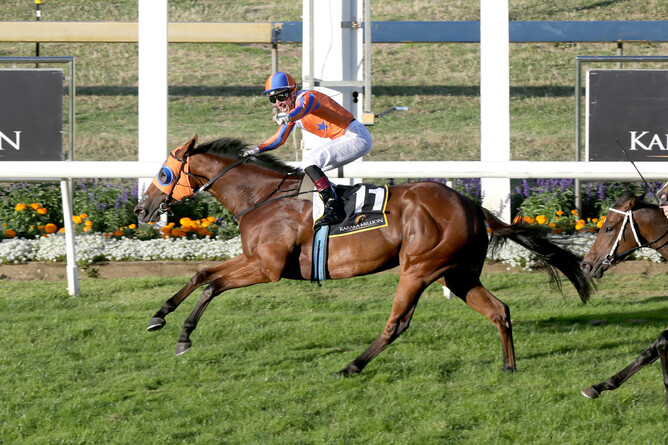 Melody Belle  pic. Trish Dunell