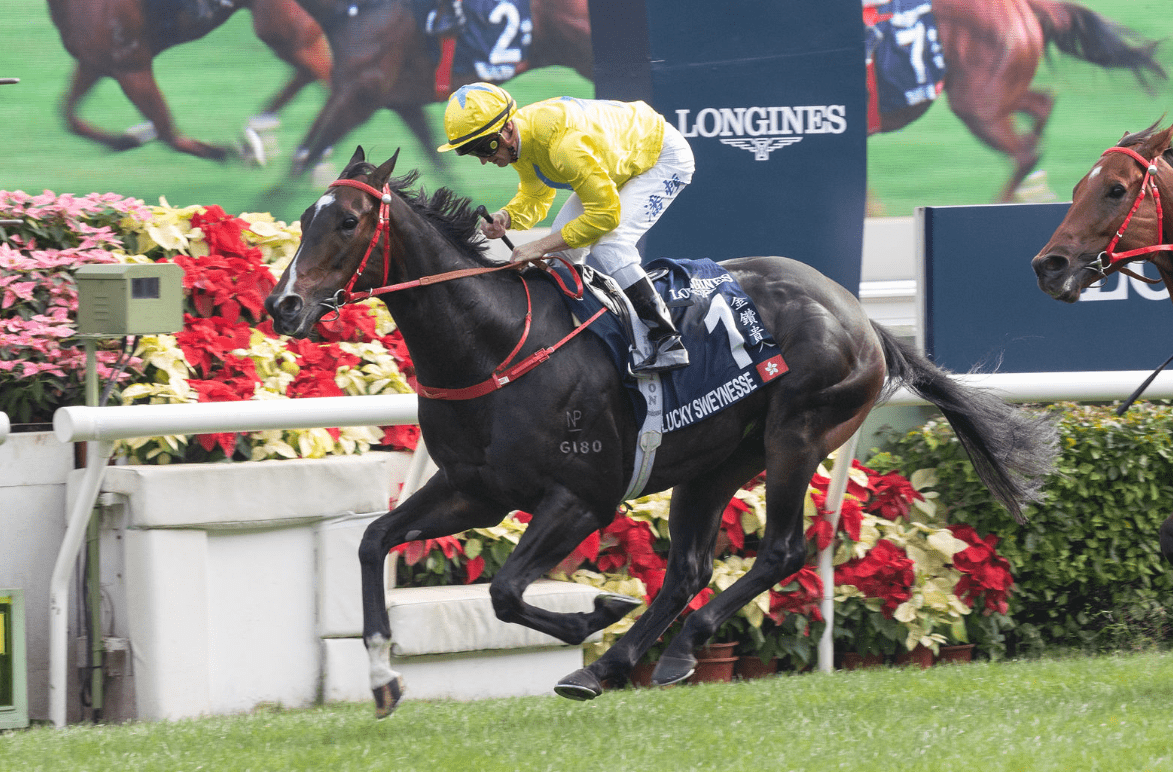 Lucky Sweynesse claims Hong Kong Sprint New Zealand Thoroughbred