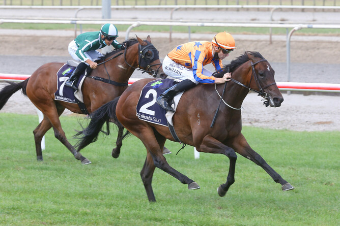 Maven Belle is all class as she takes out the Gr.2 J Swap Contractors Ltd. Matamata Breeders’ Stakes (1200m) Photo Credit: Trish Dunell