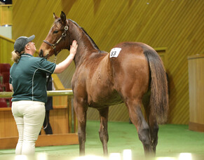 Karaka May Sale Cancelled