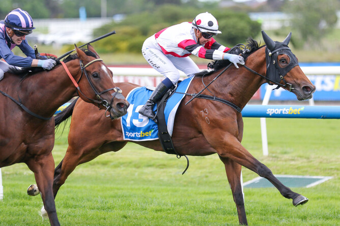 Proved made it six wins from seven with a decisive victory in the A$200,000 Gr.3 How Now Stakes (1200m) at Caulfield. - Photo: Bruno Cannatelli