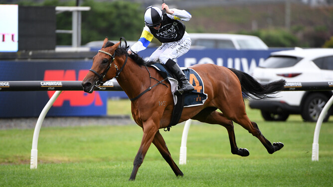 Tellum winning the Gr.2 Hallmark Stud Eight Carat Classic (1600m) at Ellerslie on Boxing Day.  - Photo: Kenton Wright (Race Images)