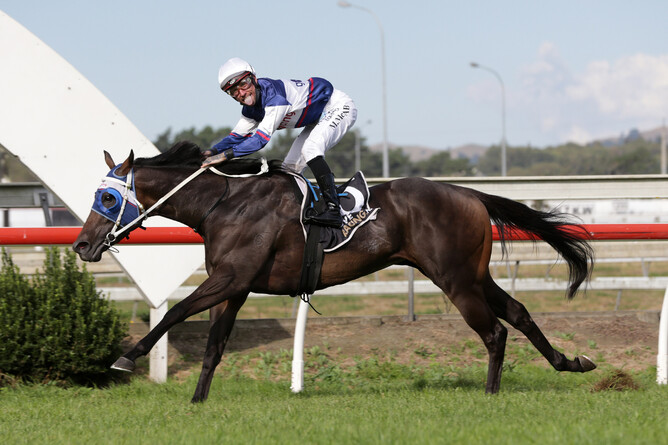 Miss Ella winning the Listed Grangewilliam Stud “Derryn” Oaks Prelude (1600m) at Pukekohe on Wednesday. Photo: Trish Dunell