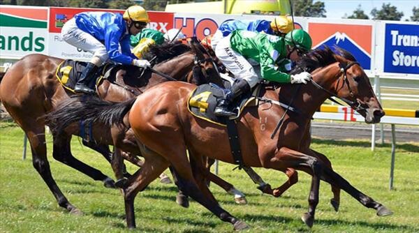 Girl Of My Dreams heads off her competitors in the Group 3 Taranaki 2YO Classic. - Photo: NZTM website
