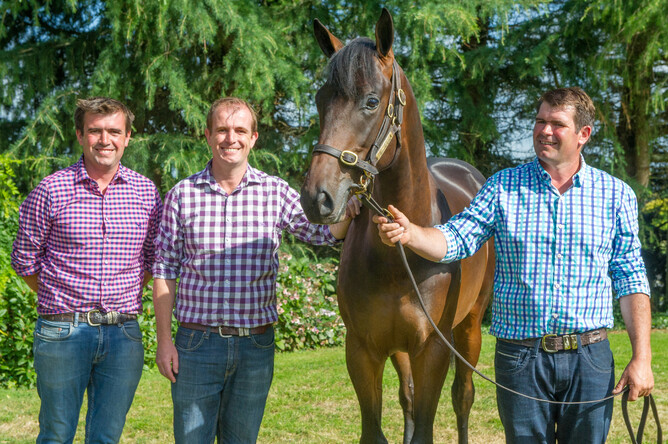 Dean, Leigh and Sean Hawkins with the Tavistock x Hy Fuji yearling sold in 2018 - Michael Rist