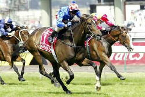 Makybe Diva winning her third Melbourne Cup