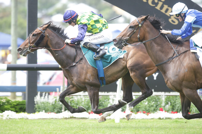 Master Painton winning at Ellerslie on Boxing Day. Photo: Trish Dunell