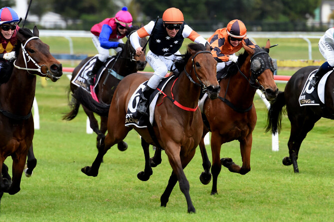 Craig Grylls winds up Sweet Clementine as she heads to victory at Rotorua Photo Credit: Race Images – Kenton Wright