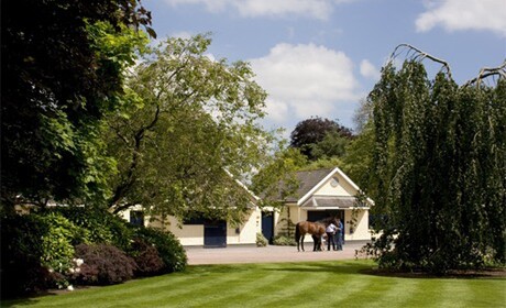 Looking over to the stallion boxes