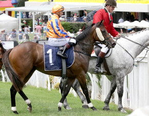 Avantage takes her second NZB Insurance Pearl Bonus home