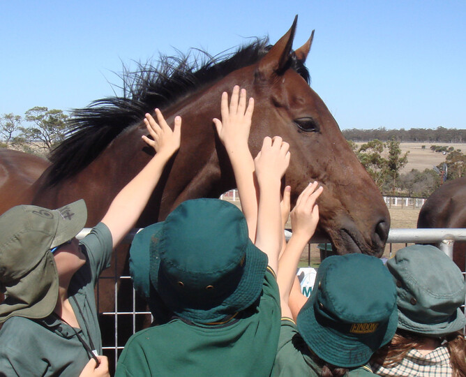 Windsor Park bred champion Might and Power (Zabeel - Benediction) a favorite at Living Legends