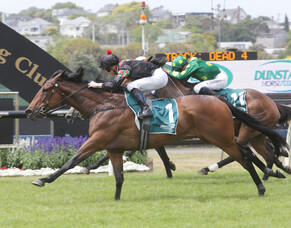 Celebrating 21 years in partnership with Dunstan