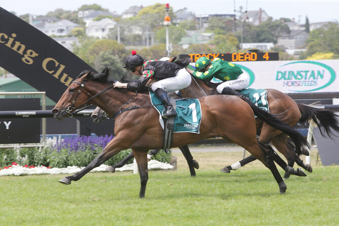 Paisley Park winning at Ellerslie on New Year's Day. Photo: Trish Dunell