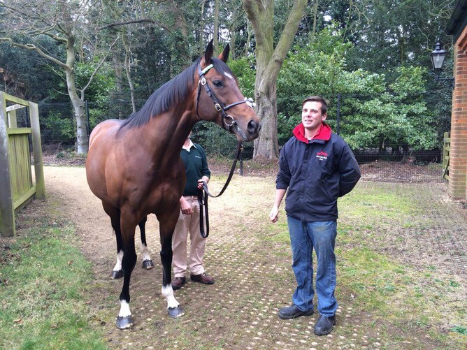Bevan meets Frankel