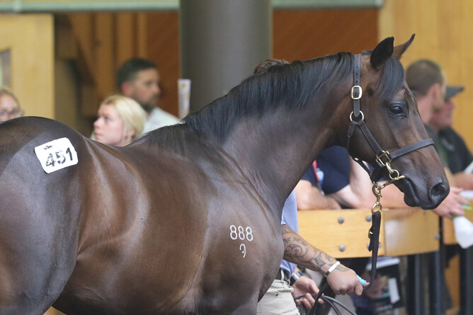 Lot 451, the Satono Aladdin colt out of O’Reilly mare Inthespotlight, was purchased by Paul Moroney Bloodstock and Ballymore stable for $360,000.