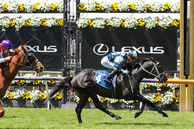 Forgot You returned to winning form in the Listed Furphy Plate (1800m) at Flemington.  - Photo: Bruno Cannatelli