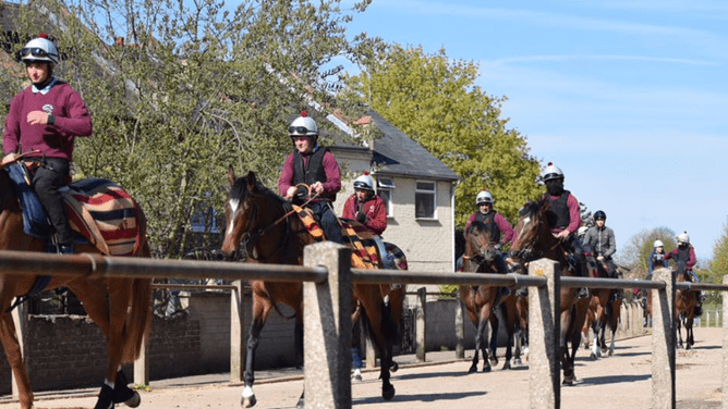 Gallops at Newmarket