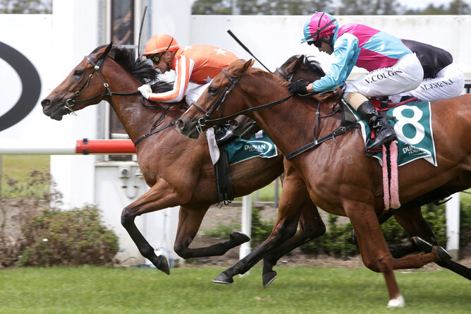 Media Sensation took out the feature event for the fillies and mares at Pukekohe on Saturday, the Gr.2 Dunstan Feeds Auckland Thoroughbred Breeders’ Stakes (1400m).