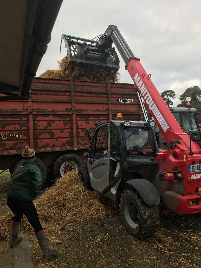 Katharina Irmer pictured working hard with Mick and Paddy operating the machinery