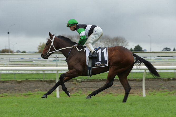 Loch Katrine heads to the start before taking out the Listed Staphanos At Novara Park Champagne Stakes (1600m) - Photo: Trish Dunell